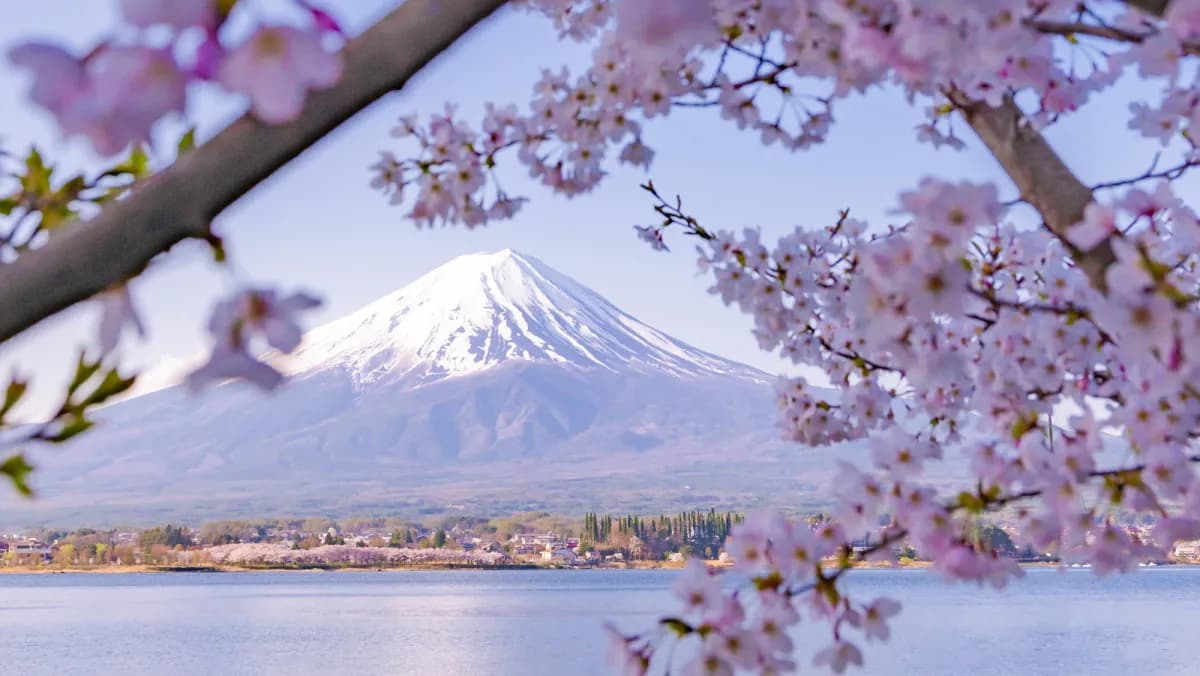 Mount Fuji with cherry blossoms