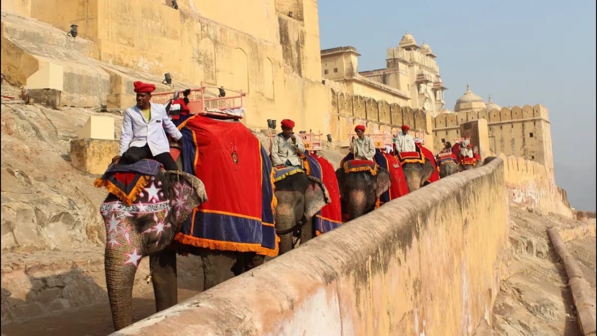 Amber Fort, Jaipur