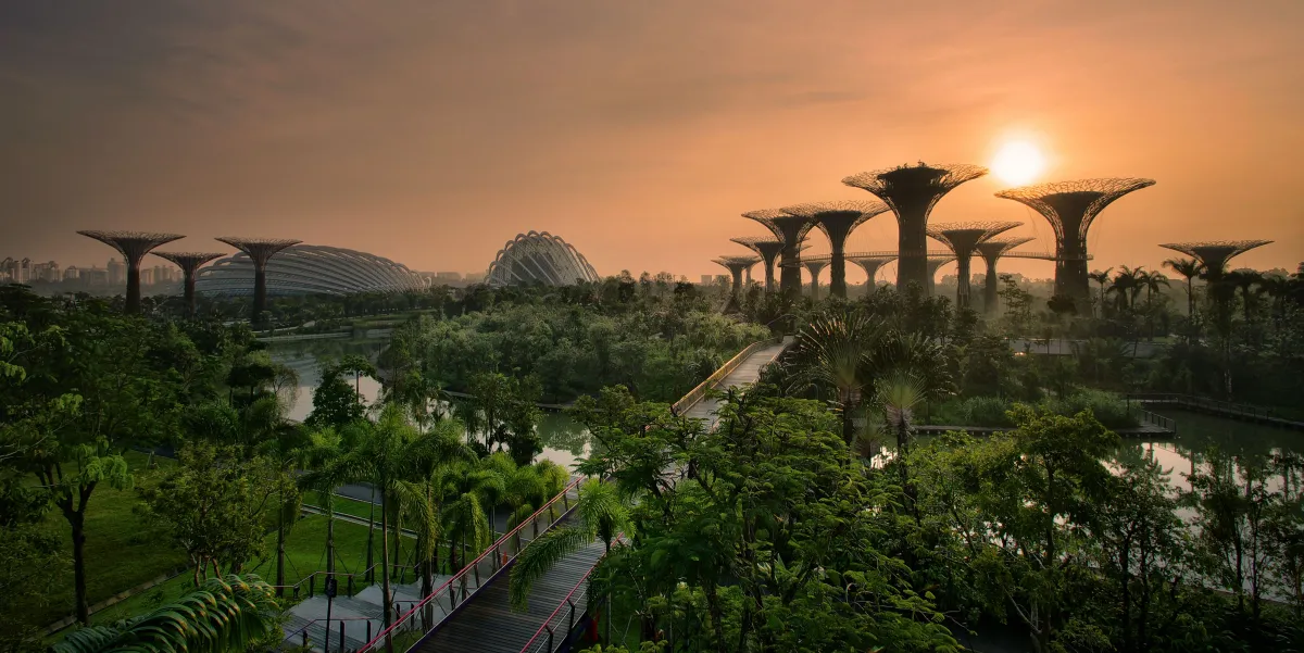 Gardens by the Bay at night, Singapore