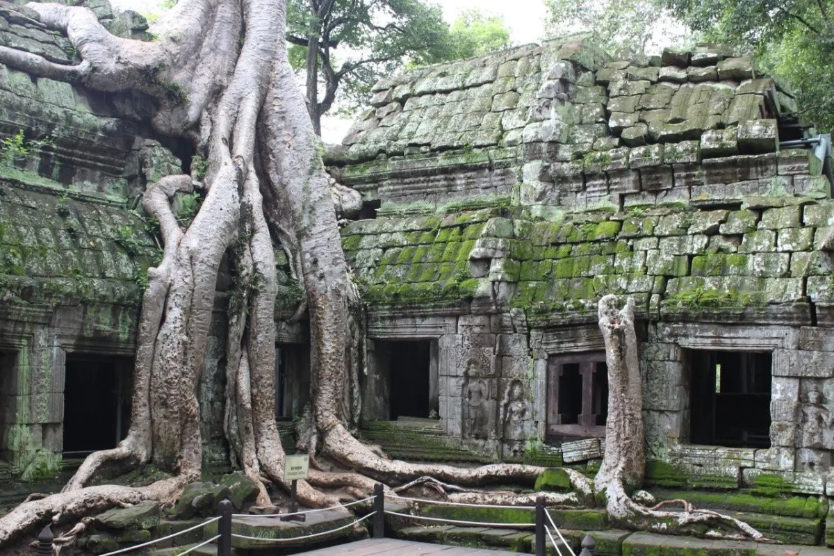 Ta Prohm temple, Siem Reap